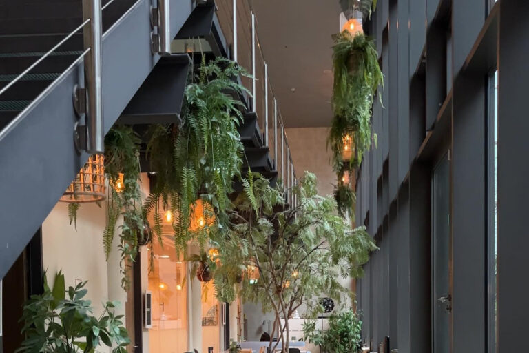 Restaurant Gutschein Balance Deli Frankfurt am Main